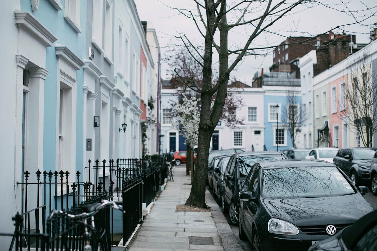 A Beginner's Guide To Portobello